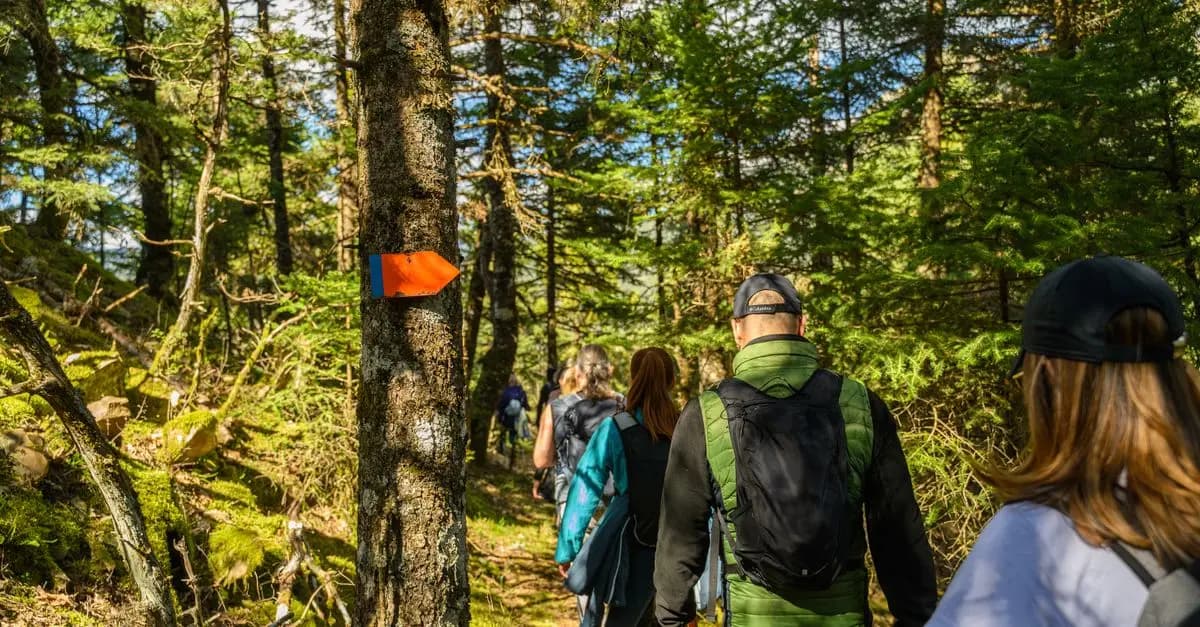Les Tendances des Expéditions Outdoor en 2026