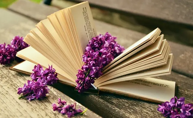 Les Meilleures Astuces pour Relever un Défi d'Expédition