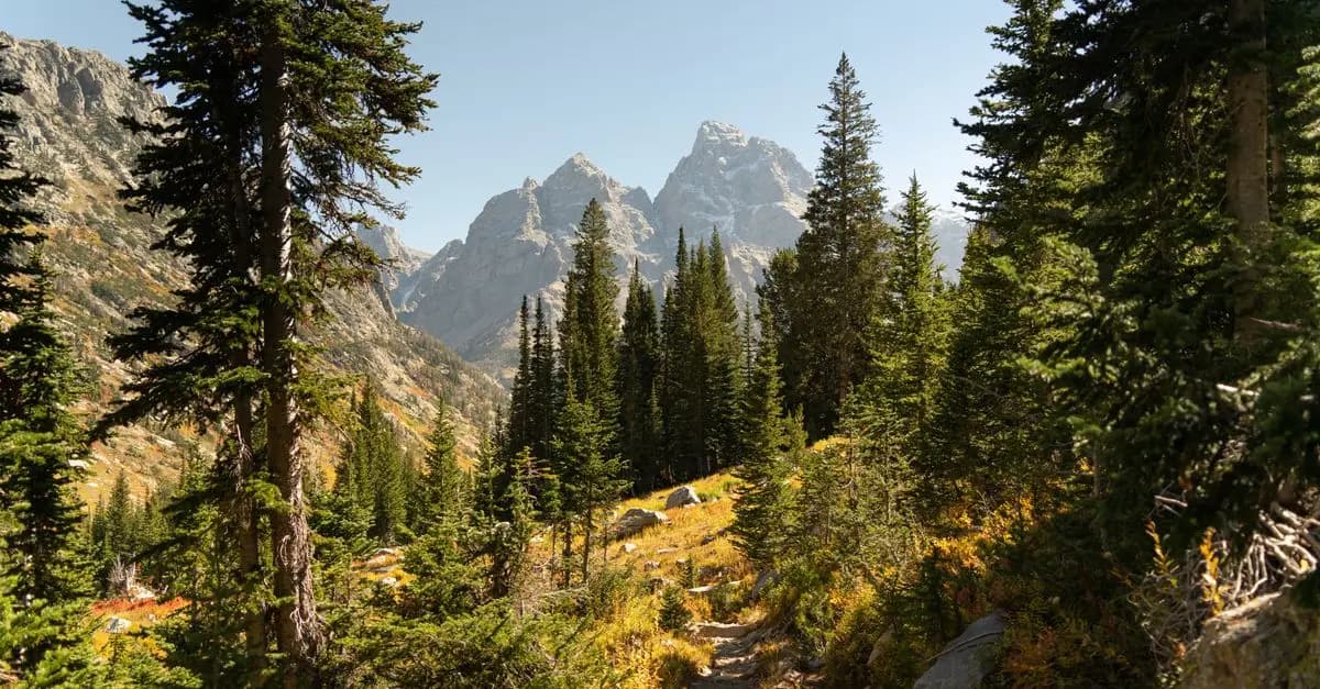 10 Conseils pour Réussir une Randonnée en Montagne